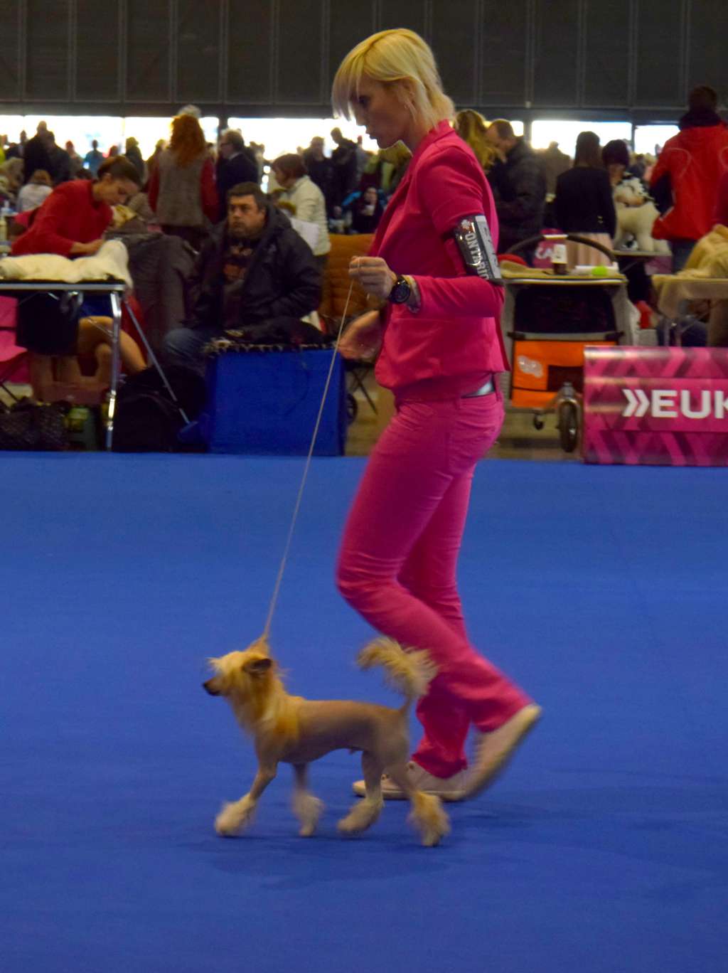 Akbar Taro Chan Tian