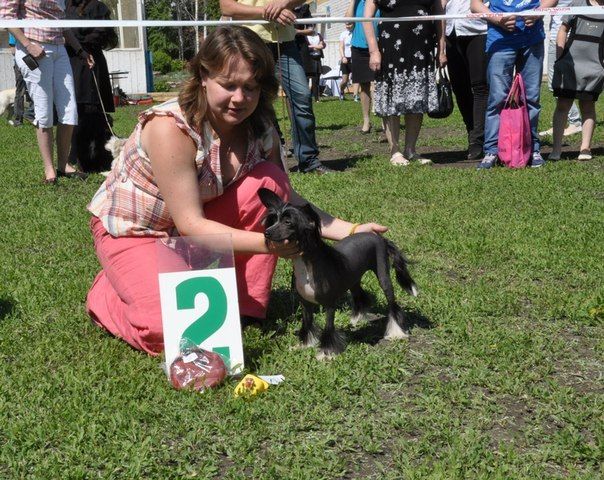 Apriori Vip Promise Me Win