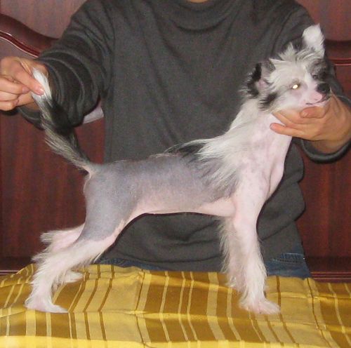 Picture