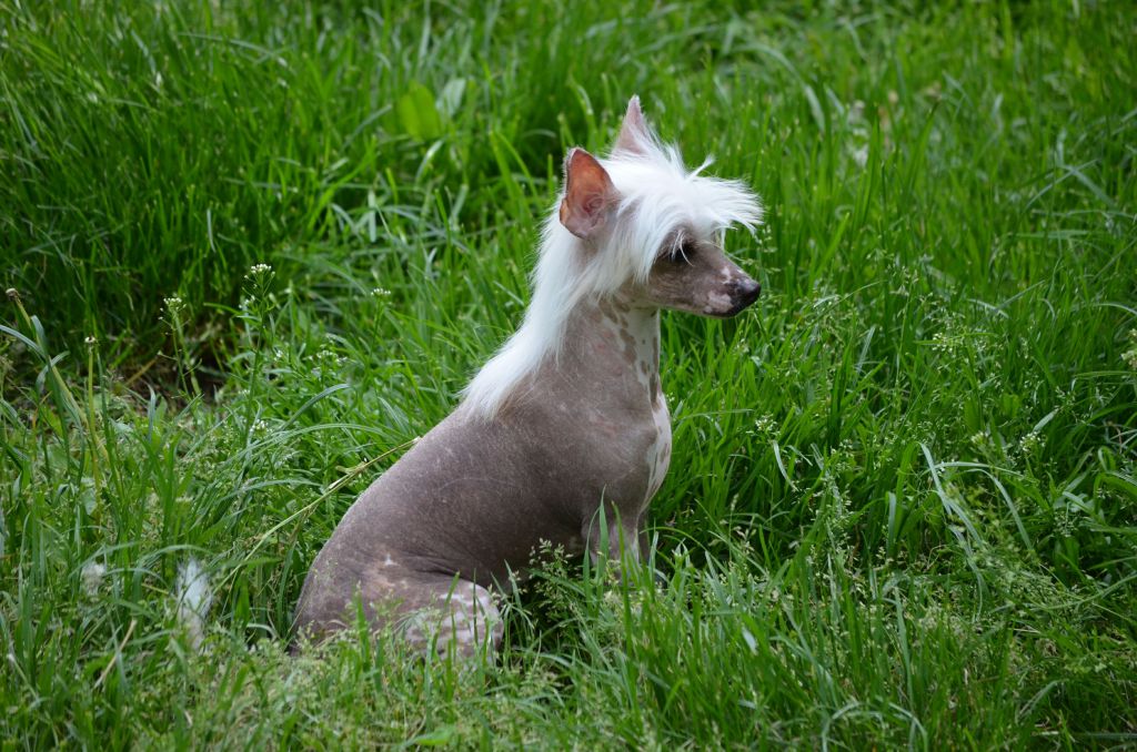 Magic of Success Unreal Miracle