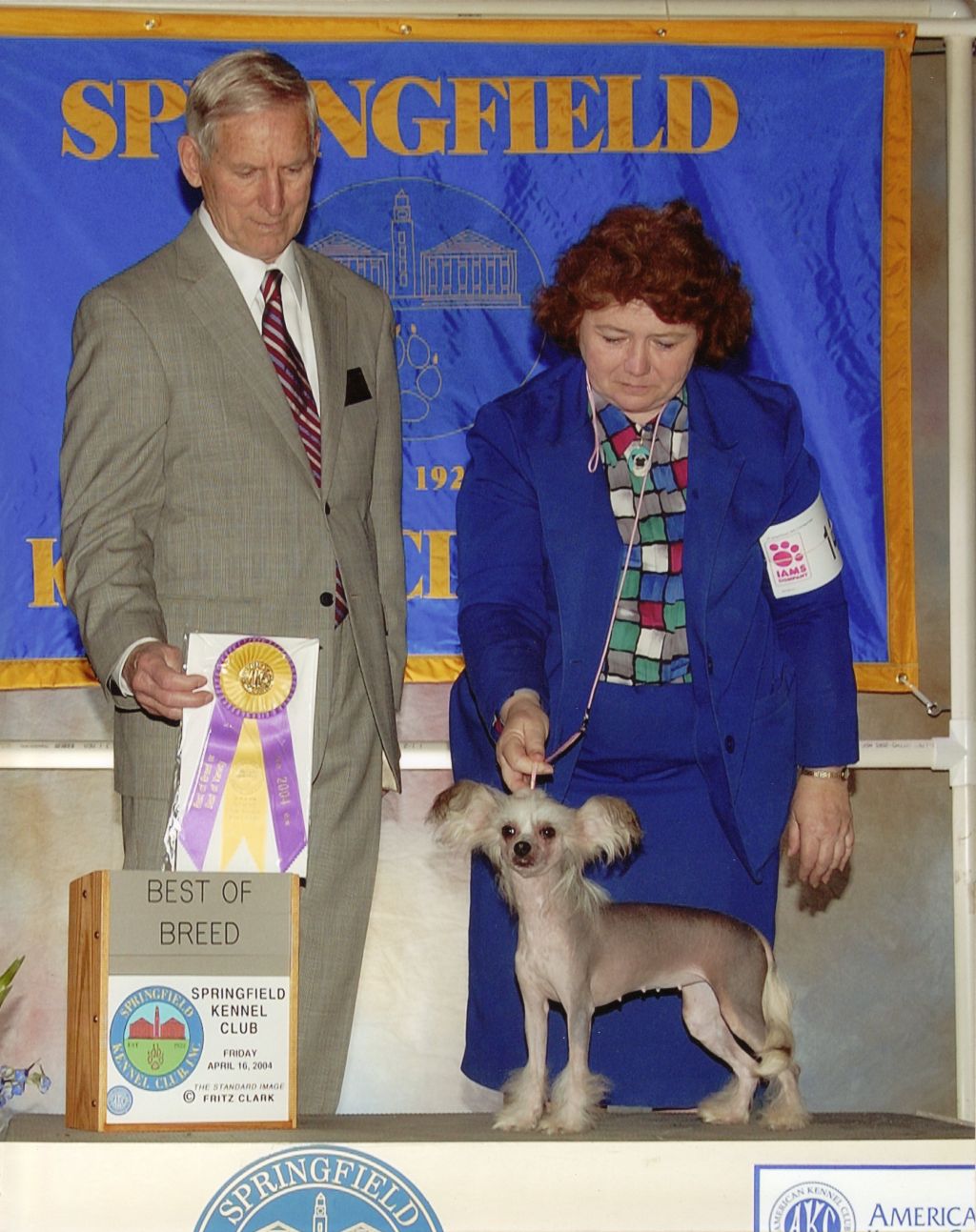 Razzmatazz Glitzz N Glitter at Angelwings