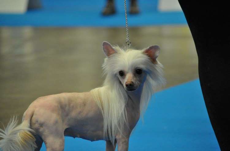 Yrar Under The Stars