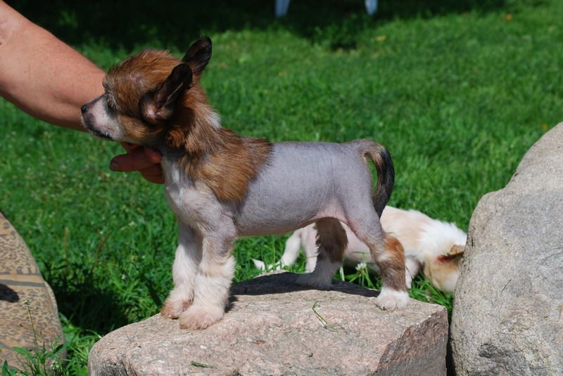 Viva la Grazia Epocha