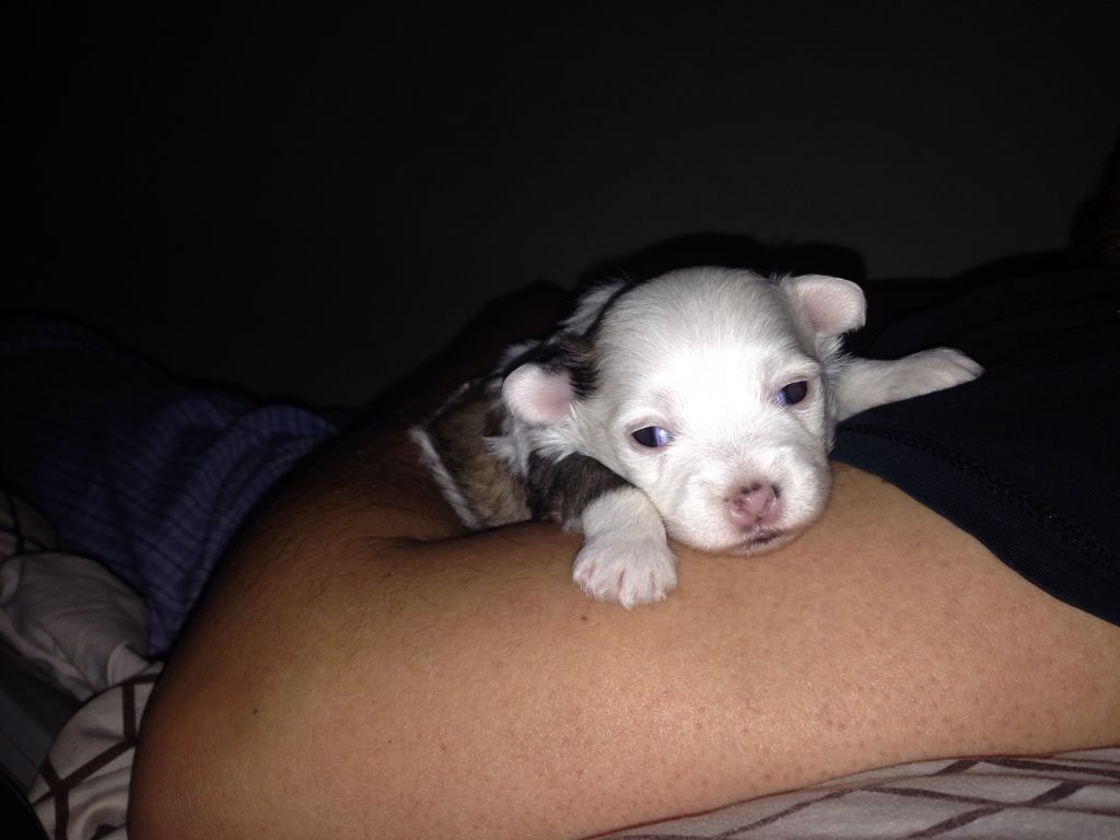 Amber's Valentines Soul