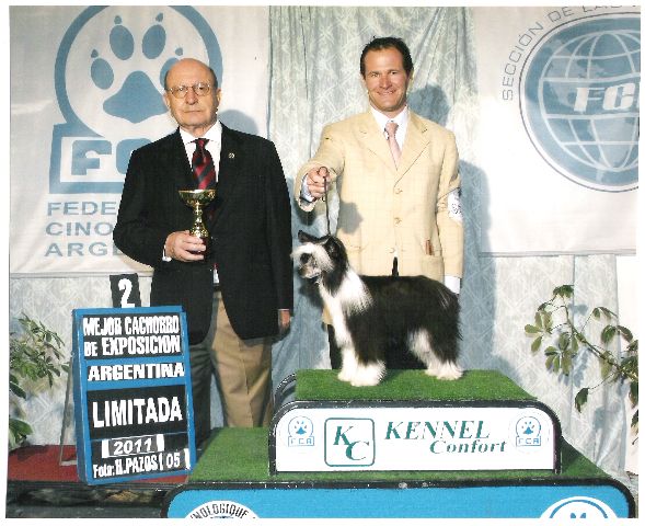 Cielos Nuevos Basilio