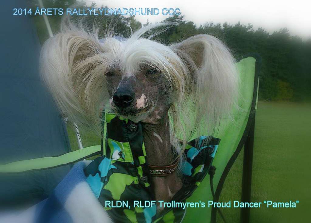 Trollmyren's Proud Dancer