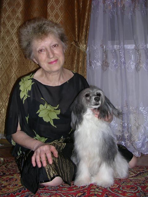 Picture