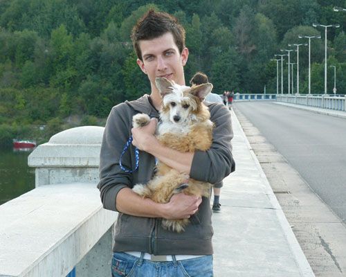 Picture
