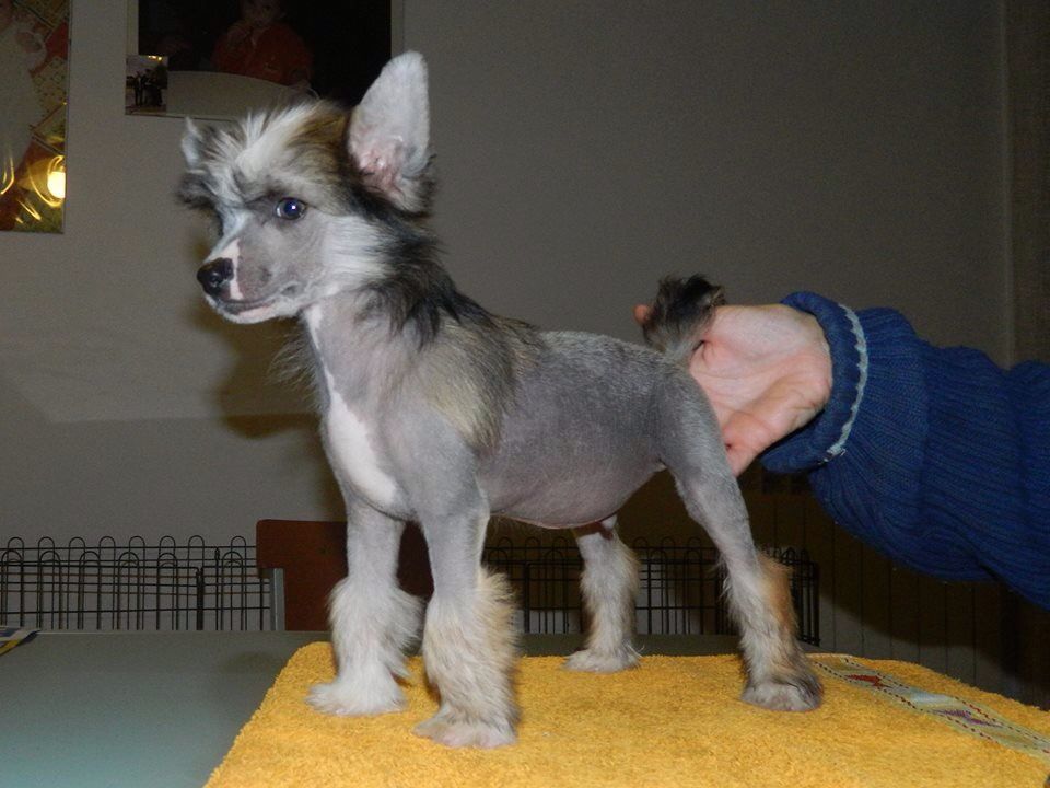 Di Casa Megi Gheb Dio Della Terra