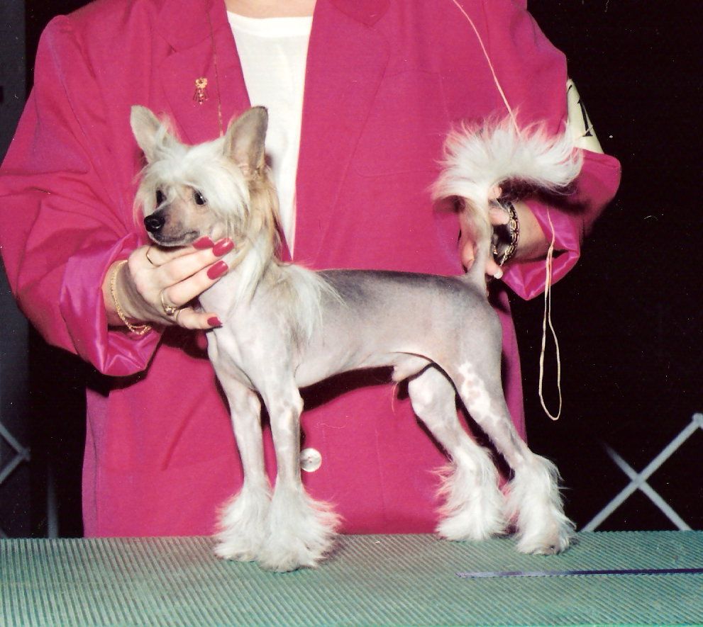 Sanuchar Reno Reigns