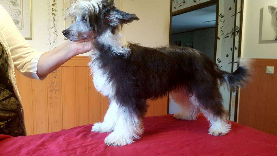 Ridgecrest's Top Secret