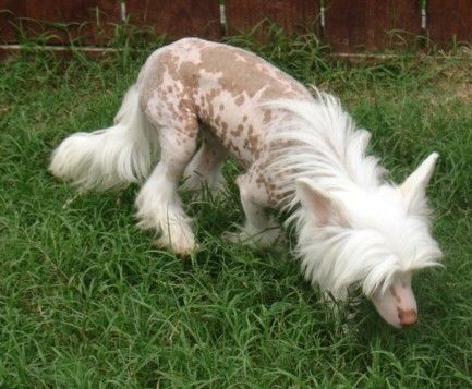 Hi-Life's Siriusly Spectacular