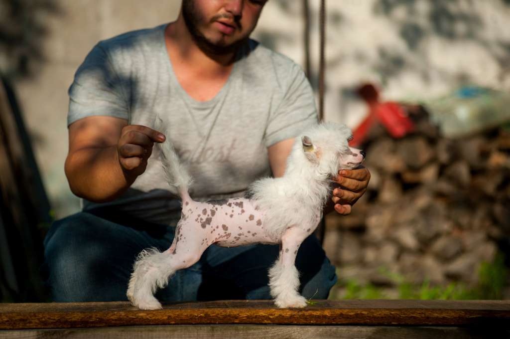 The Best iz Serebryanogo Raya