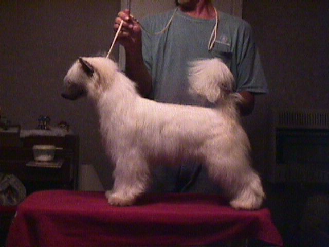 WhisperingLn' As Good As It Gets