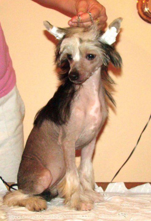 Patagonia Ranch Kenia