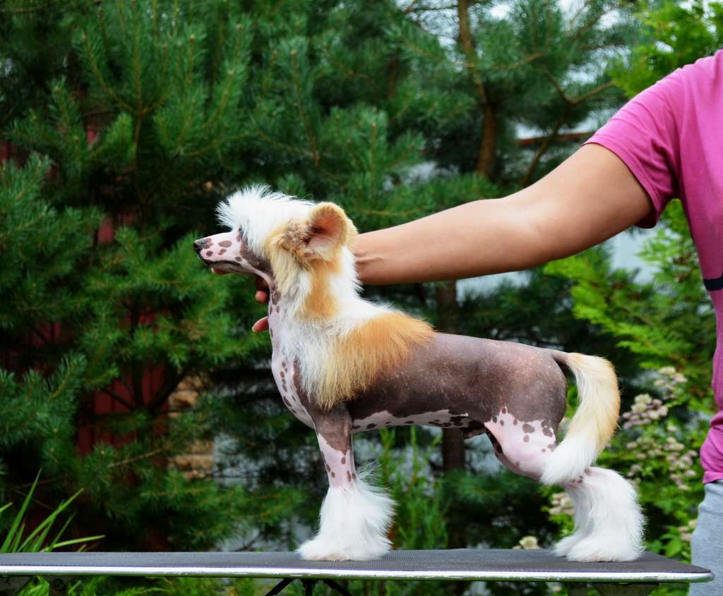 Etno Spirit Right Choice