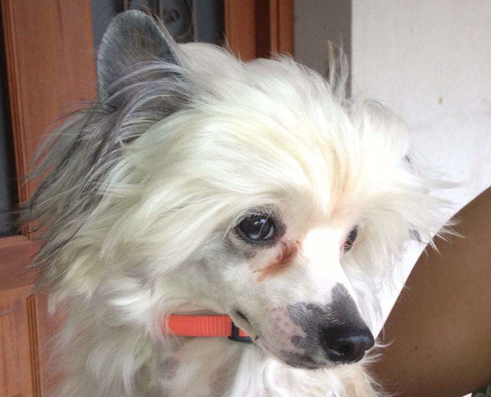 Eolo Megi Dio dei Venti