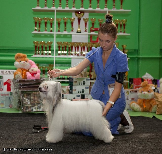 Picture