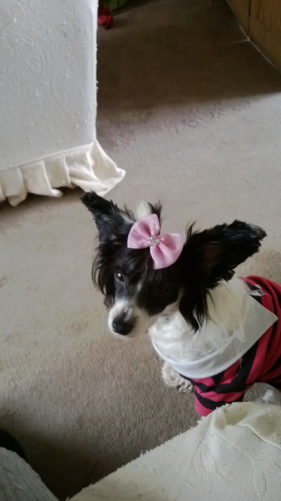 Zerachiel Hot Totty For Khanor