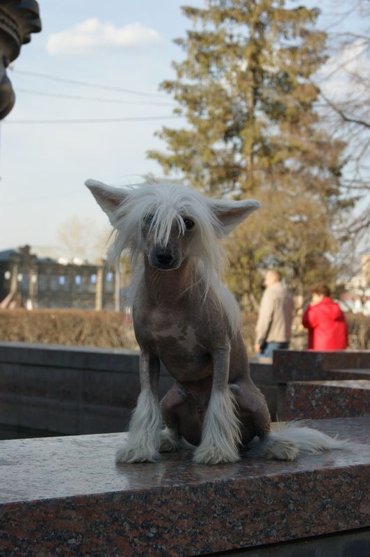 Picture