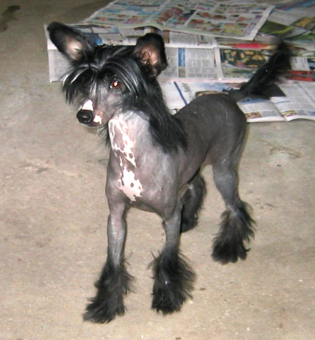 Mohawk Welcome To Unitemare