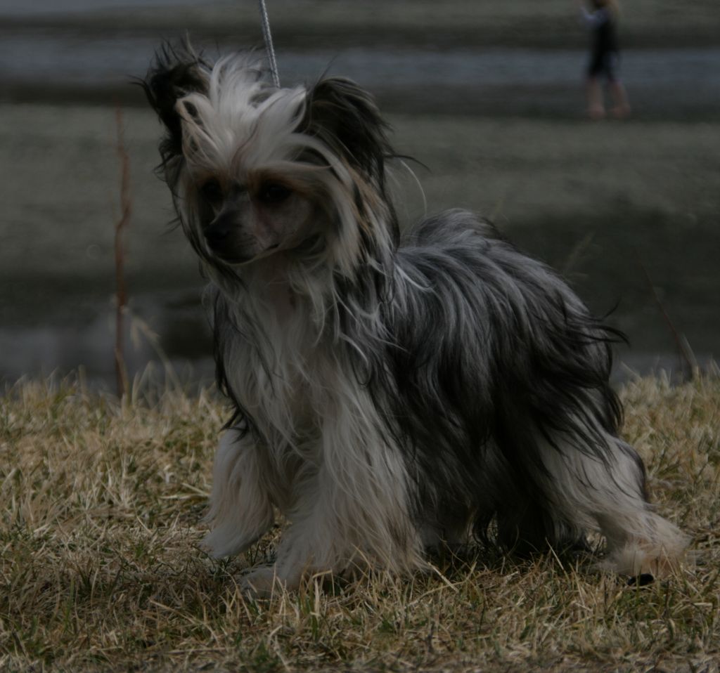 Nordlysbyen's Holyday