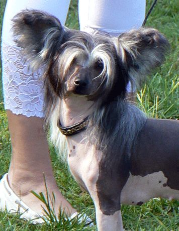 CrestnSpots East Coast's Beauty