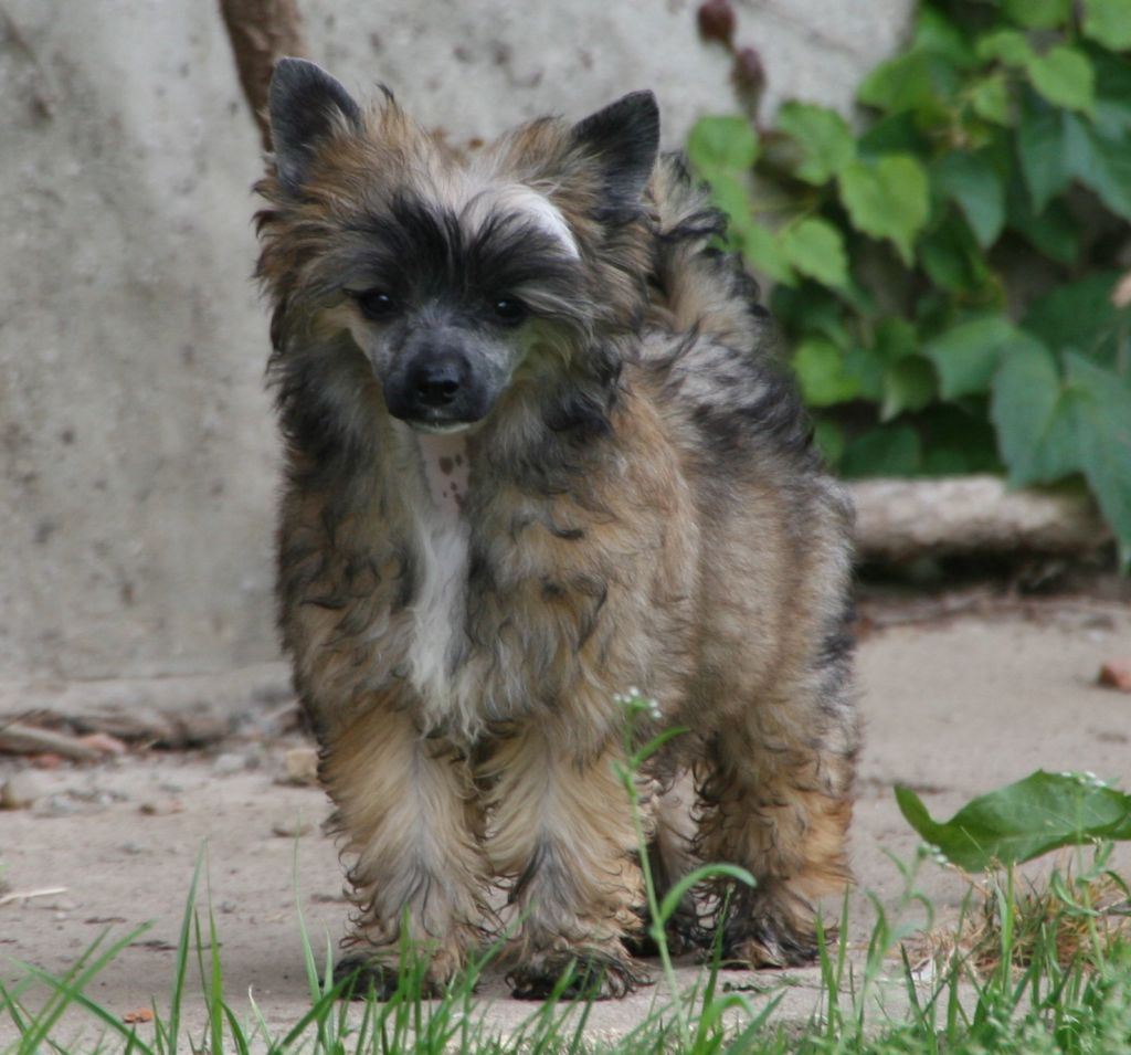 FAQ Inya Dreams du Domaine du Président