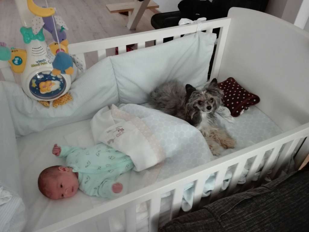 Magnus Staff Penelope Cross