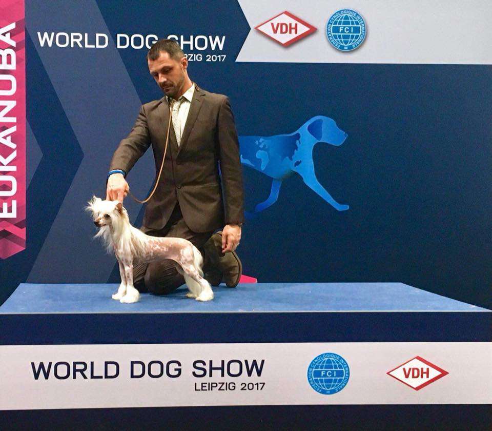 Multi Ch.  Dakota Rose My Name Is Prince