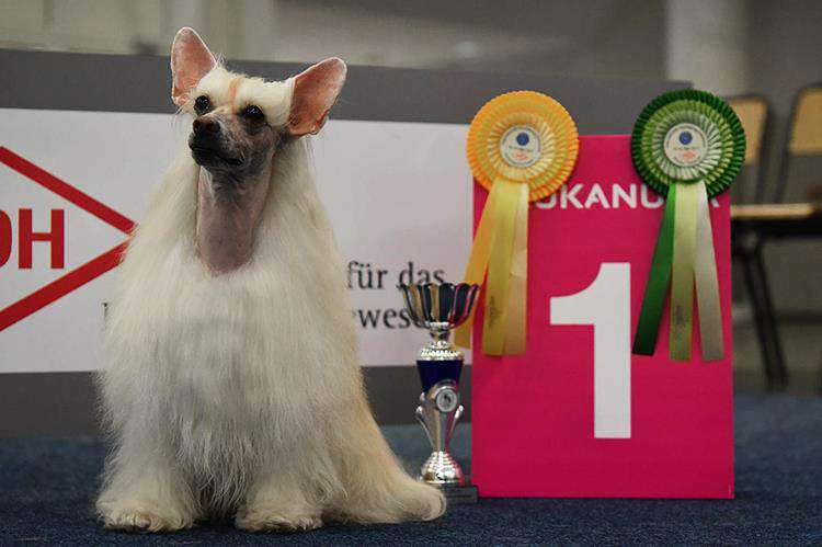 Cool Crowd's Fabulous Maricruz Delgado