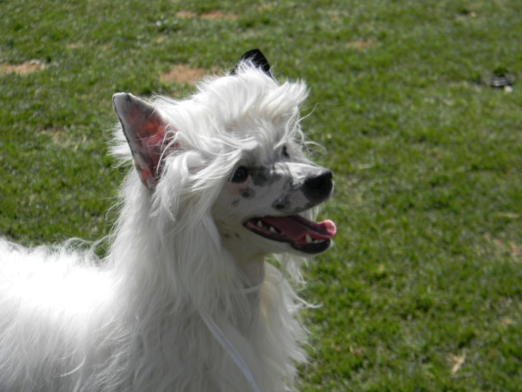 Canyons Set Fire To The Rain