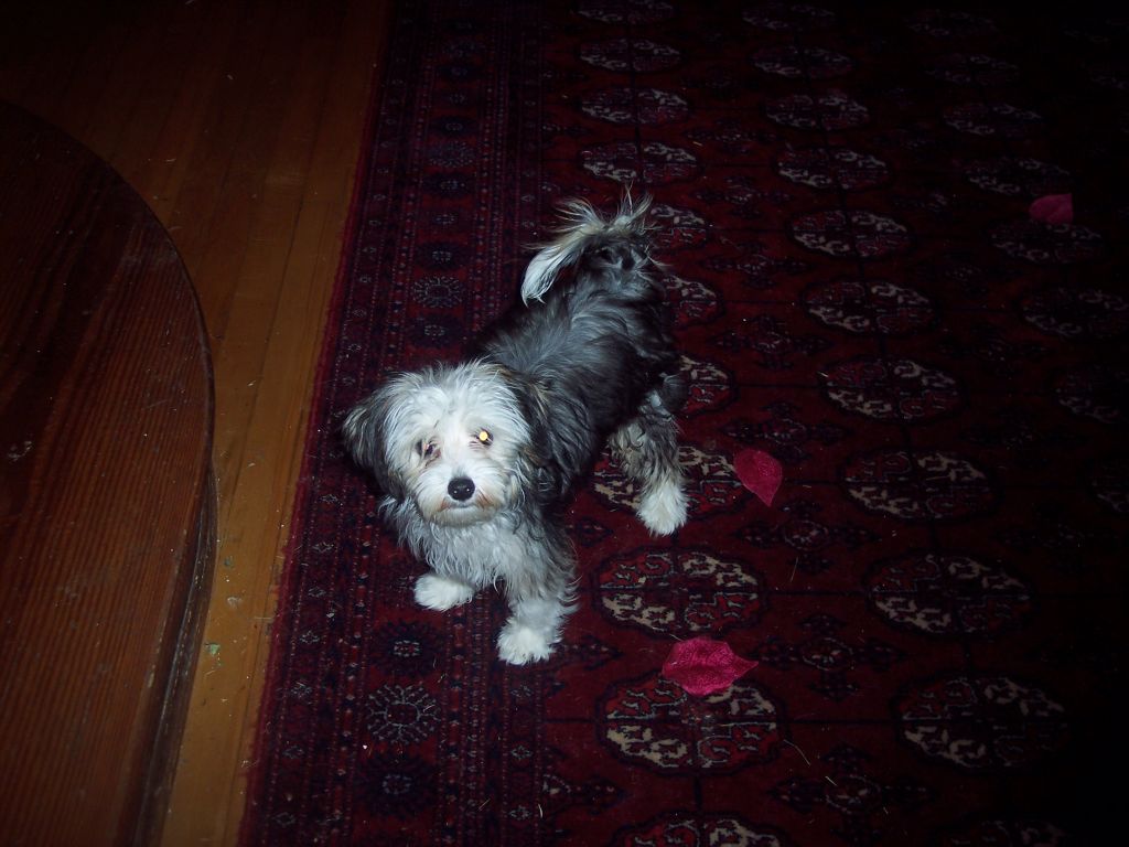 Knots Free Blessing Coleman