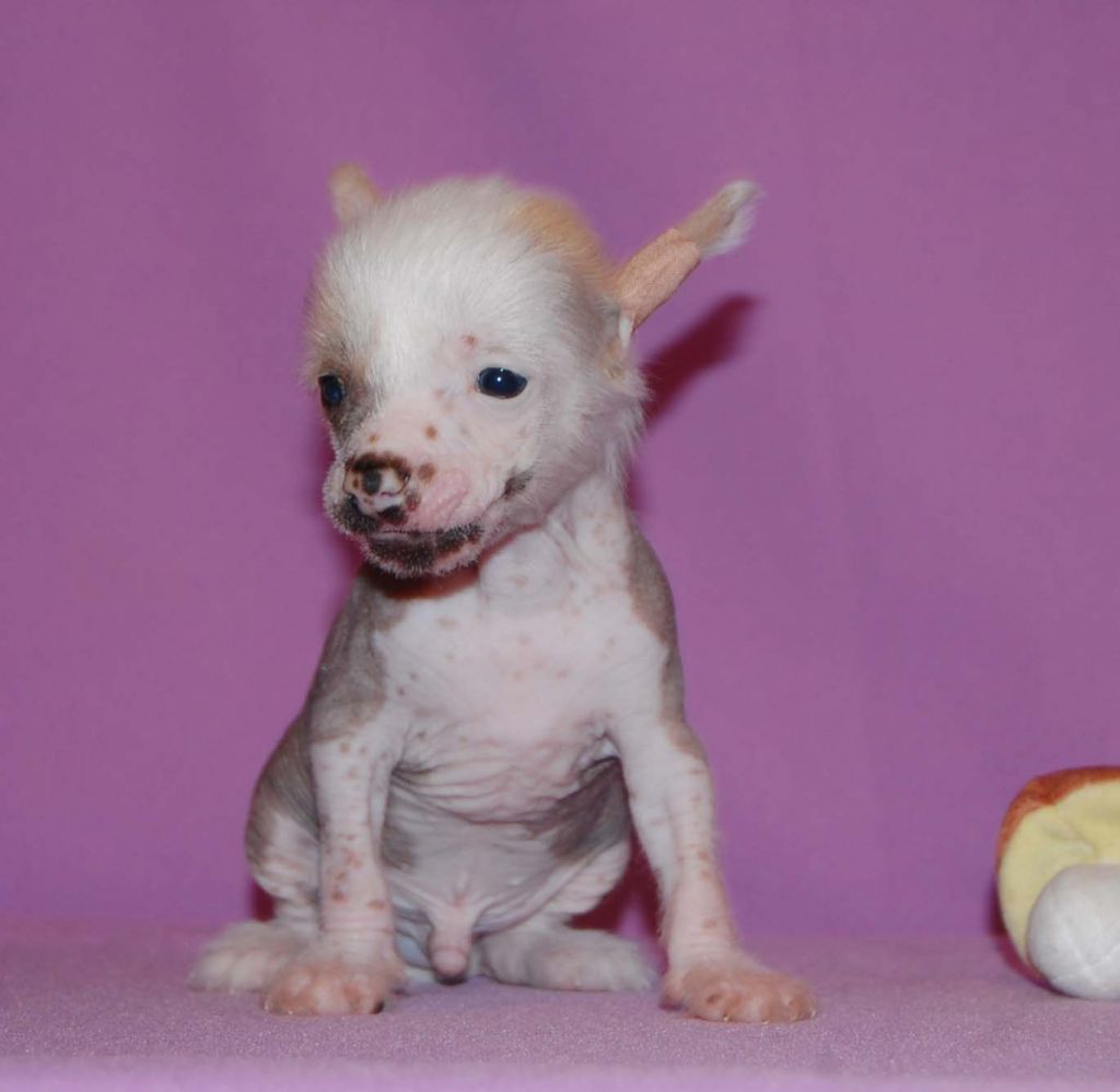 Picture