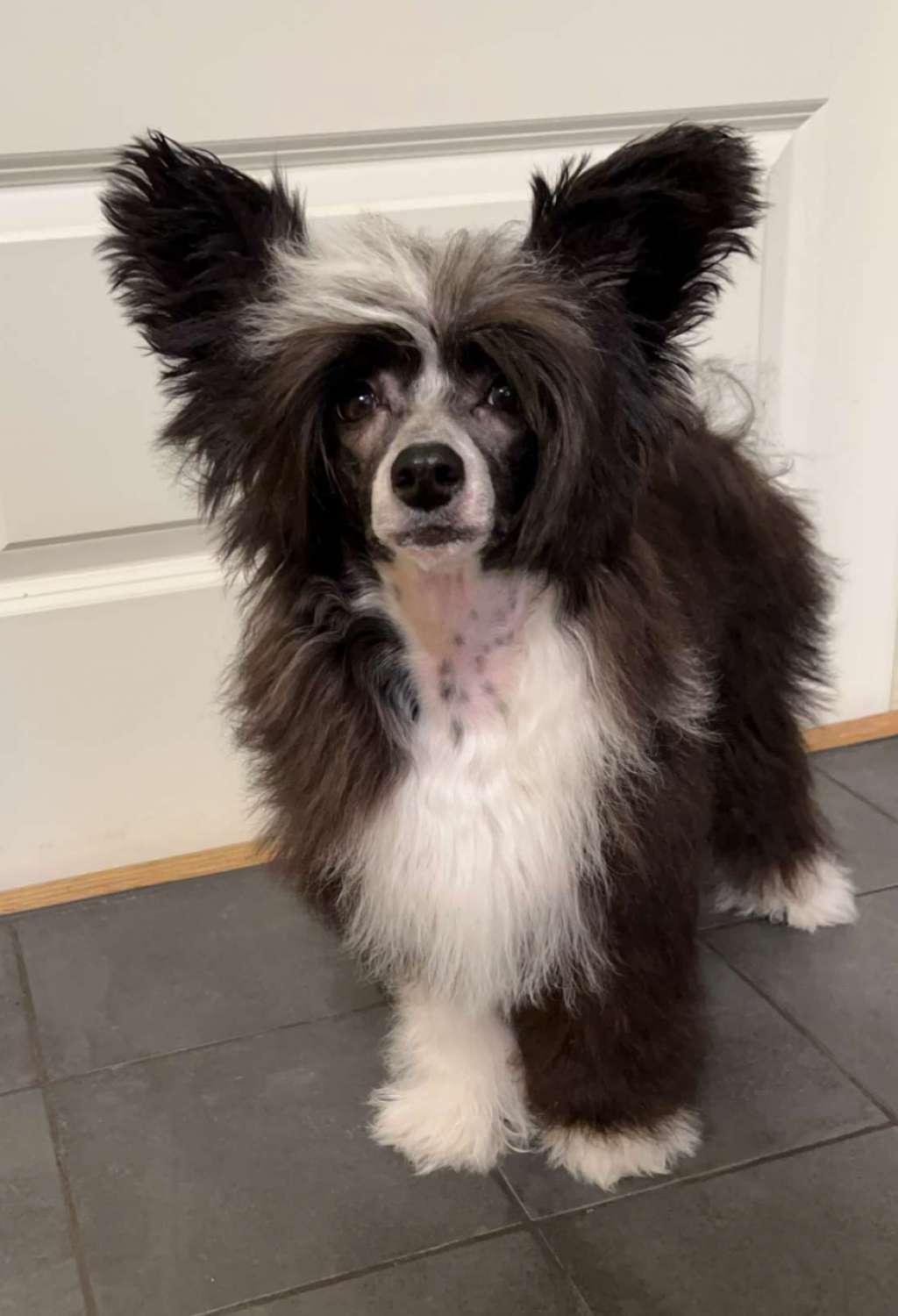 Absolute Souls I glow for you