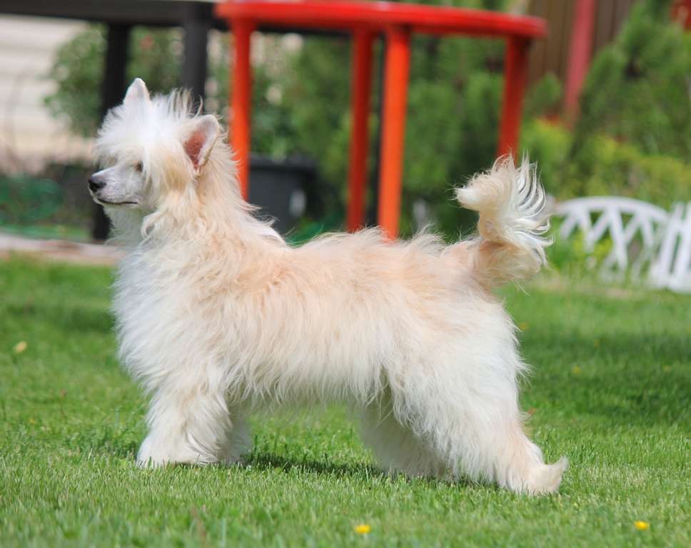 I  eto  lyubov'  dlya  Liris