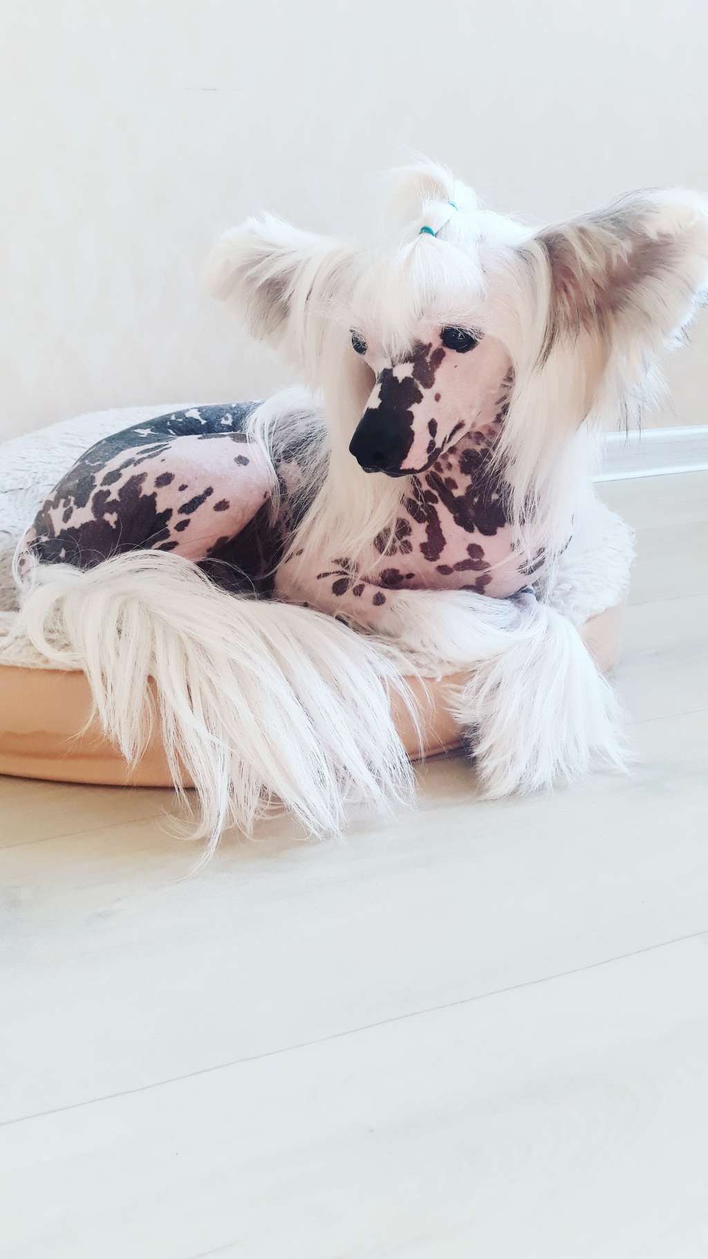 Art Rebellion Under Your Skin