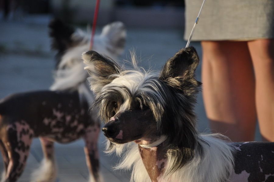 Kranar Break the Bank