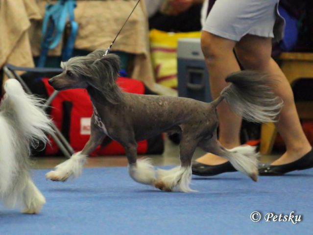 Sun Dan My Black Magic