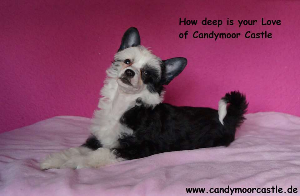 How deep is your Love