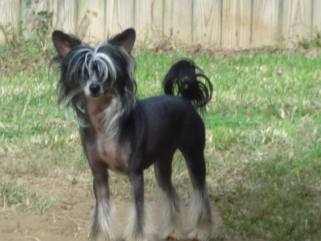 Spiritual Mosaic Defying Design