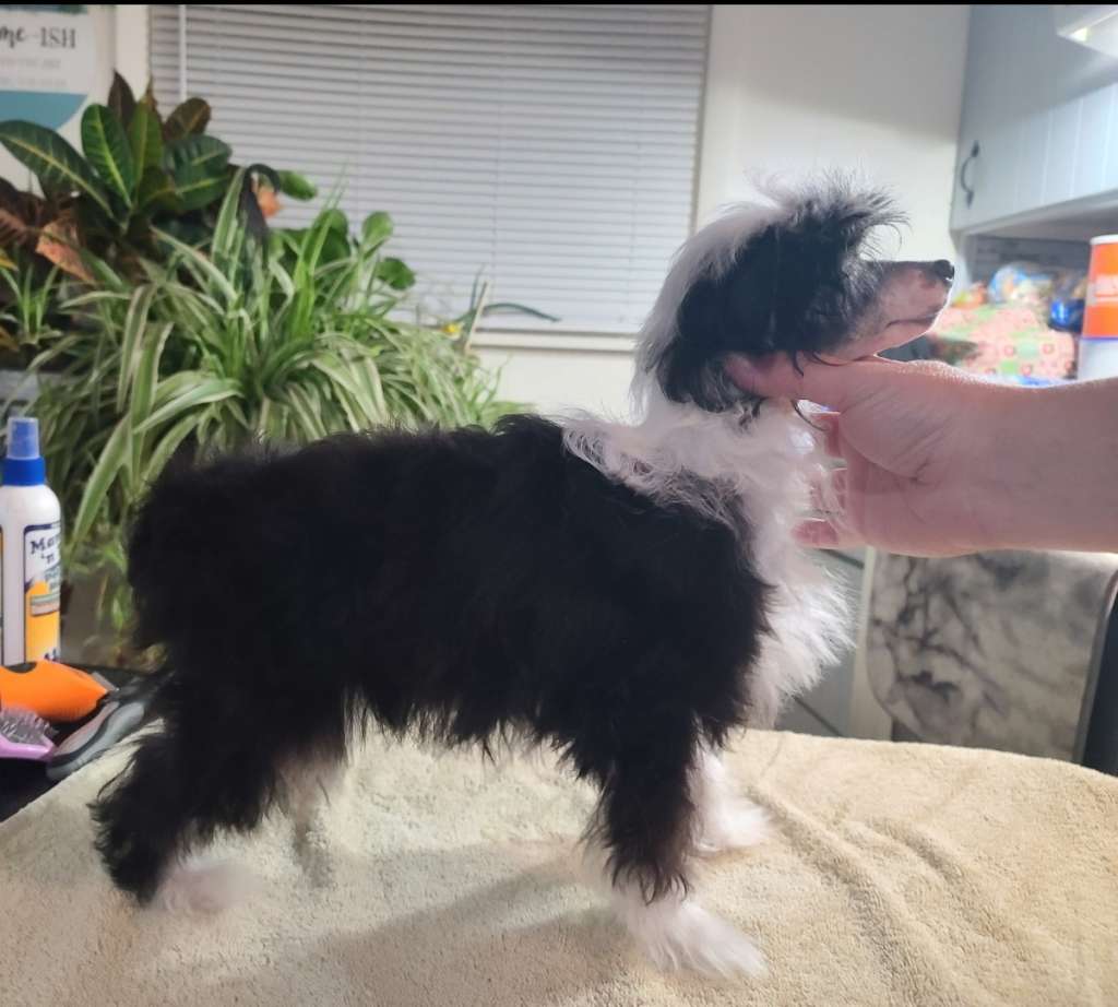 Long Haul's N'Ever Ending Claim to Fame