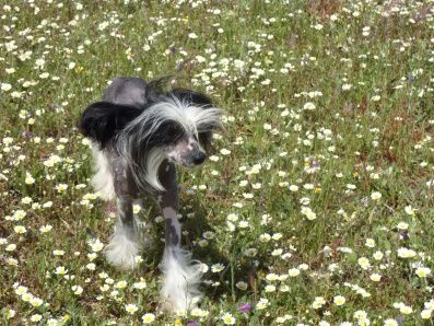 Meet me Downtown N'Co