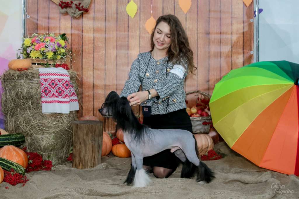 Sol'tanto Pacific Ocean