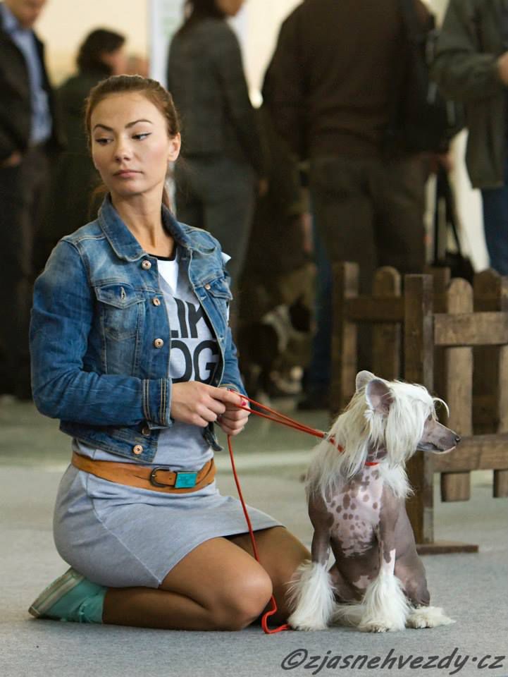 Ellis Eternal z Jaromerskeho panstvi