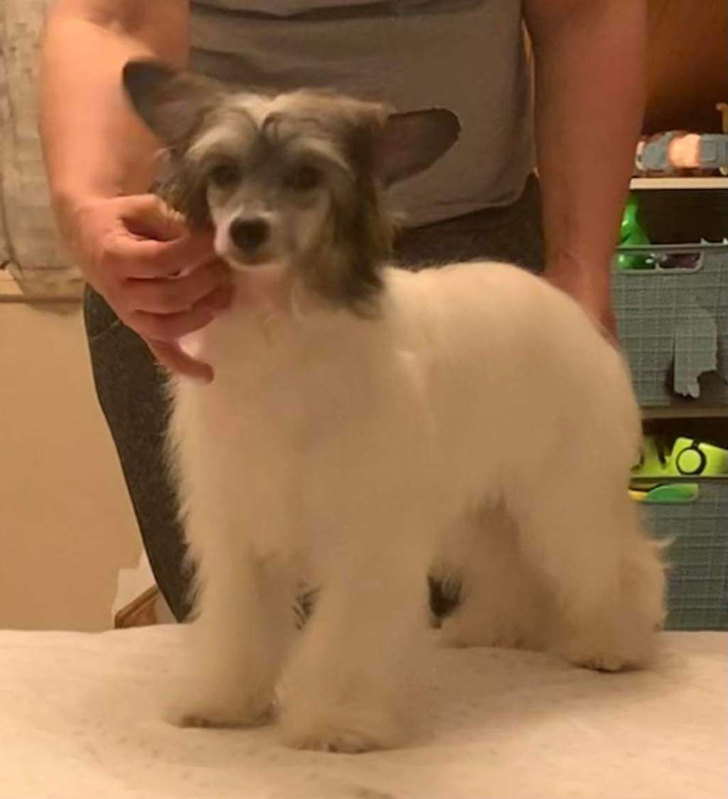 Blackheath Name In Lights