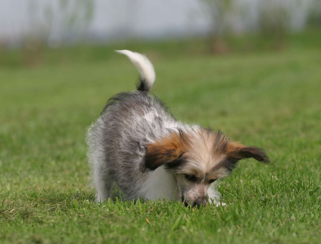 Happy Dancing Ocean Oasis