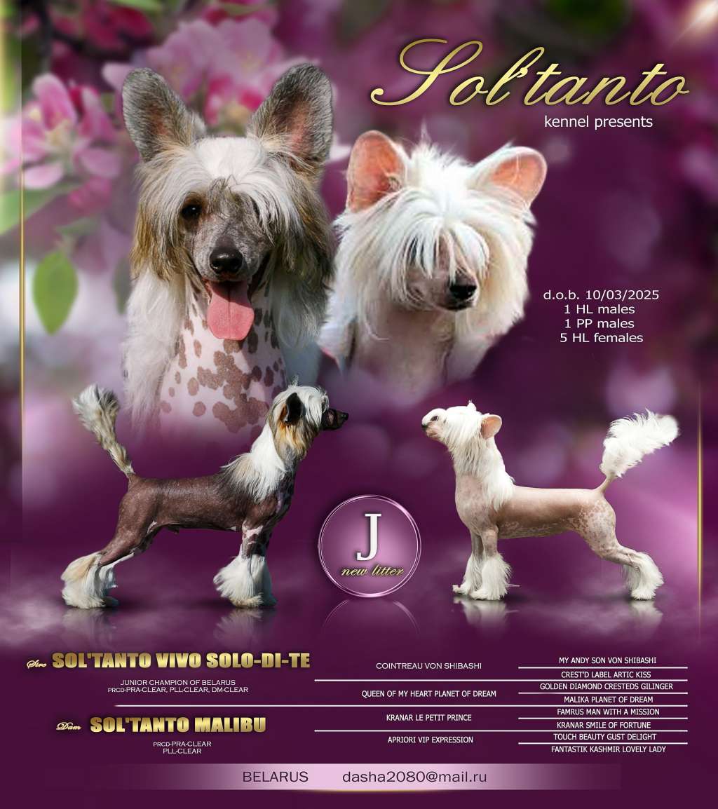 Sol'tanto Jumping Lightning