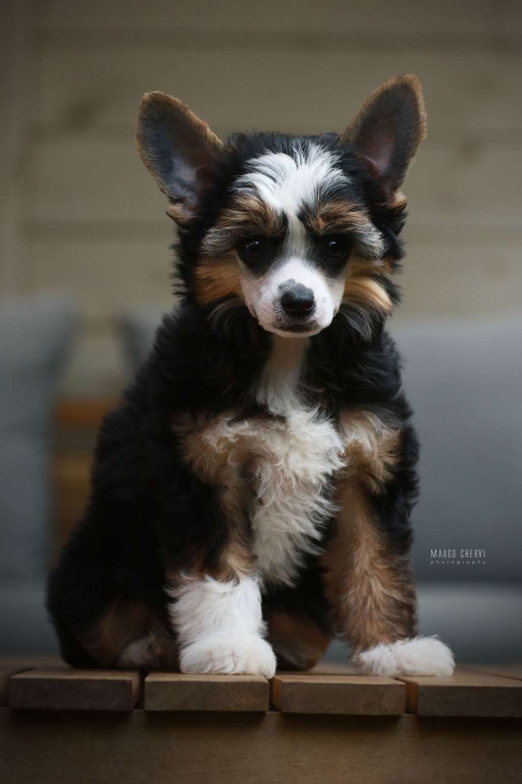 Matilde Insolite Familier