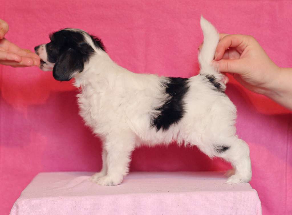 Lilla Wanillas Earned It